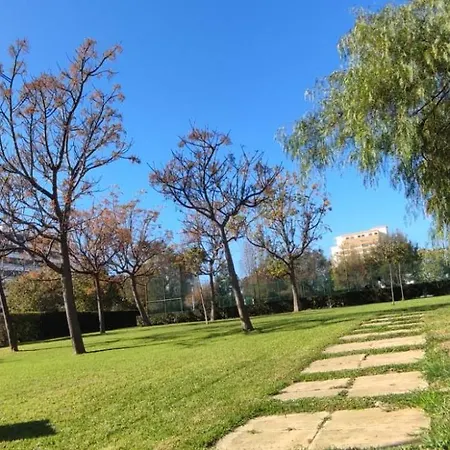 T0 Paraiso Sol Da Rocha
